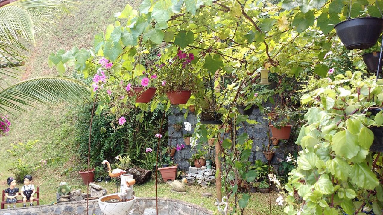 Pousada Stohler Haus Penedo  Bagian luar foto